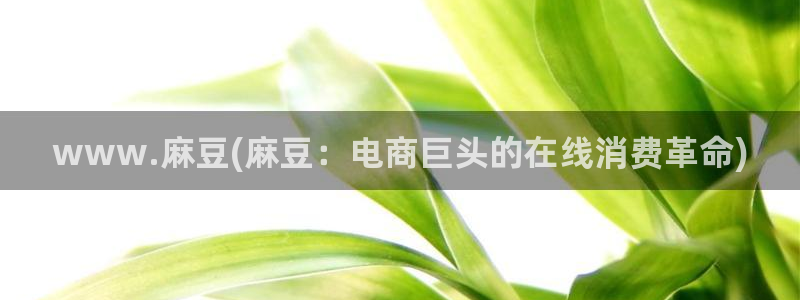 麻豆国产av专区：www.麻豆(麻豆：电商巨头的在线消费革命